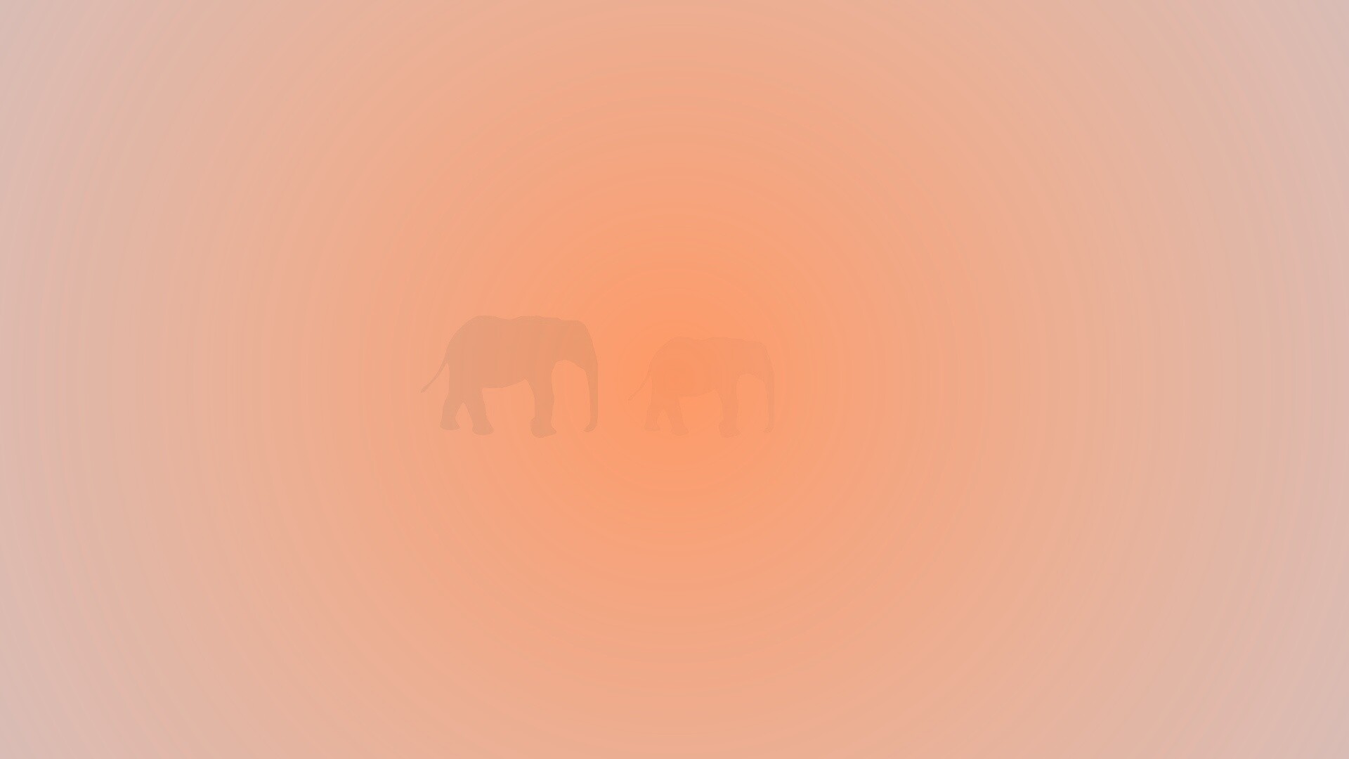 Вереница слонов обои