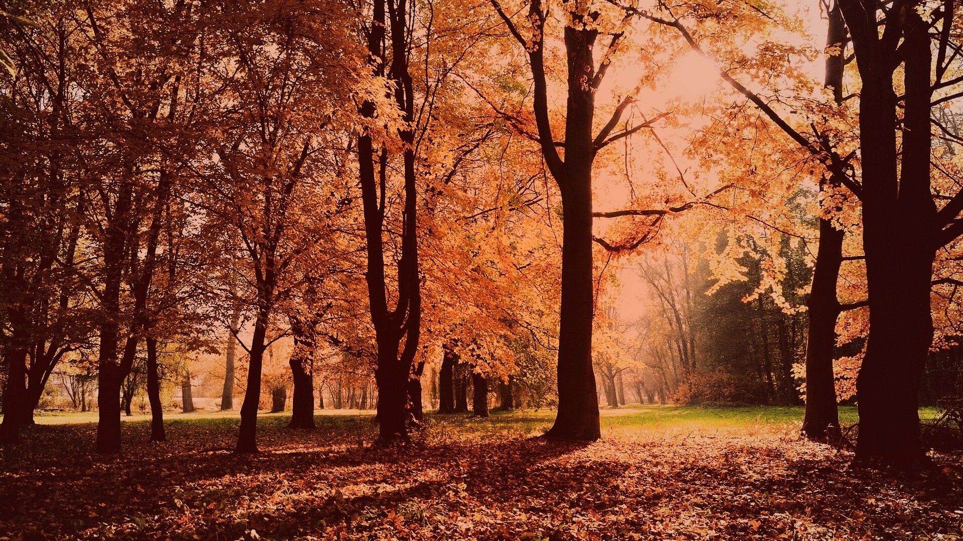 Осенний листопад в парке обои