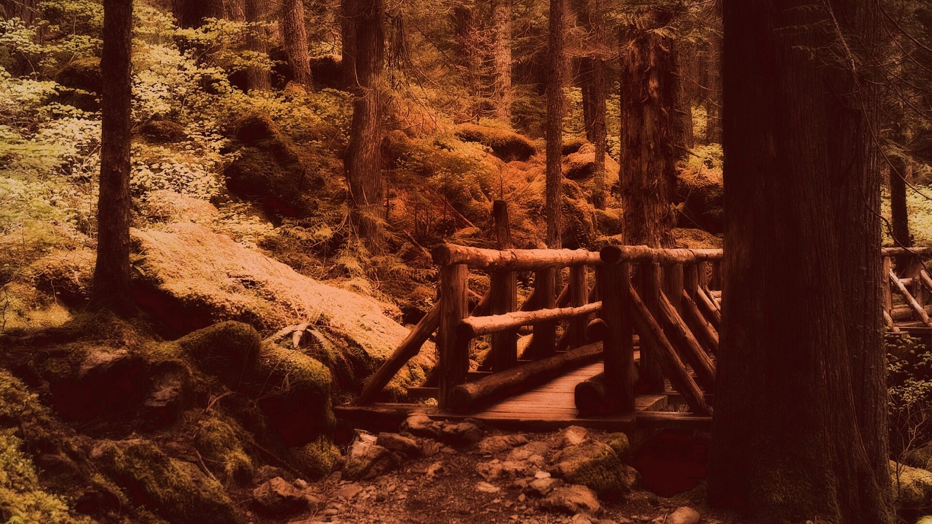 Бревенчатый мост в лесу обои