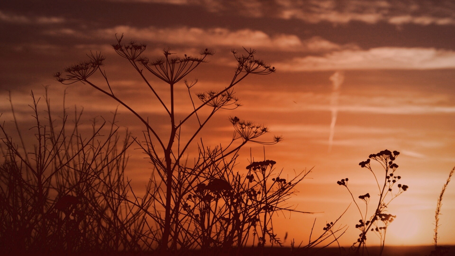 Степной закат обои
