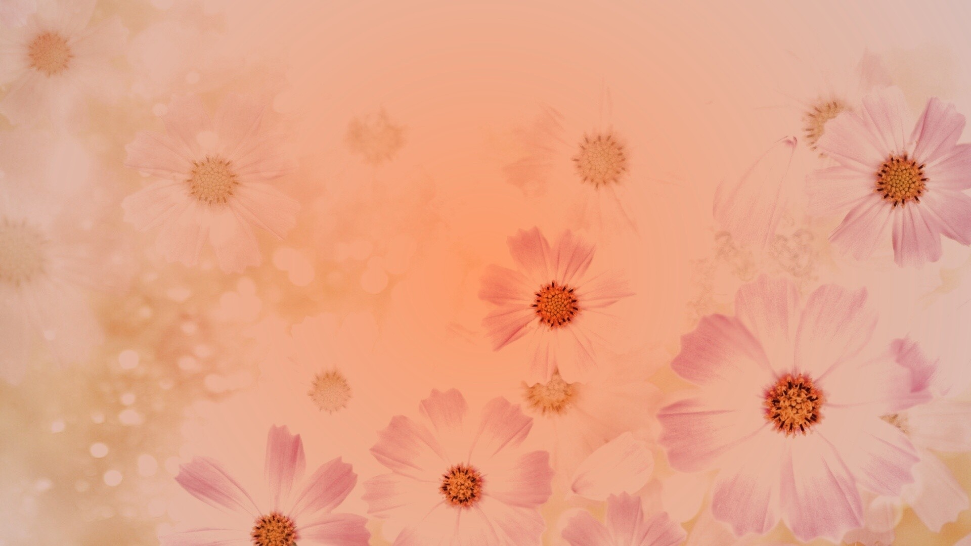 Цветочки обои