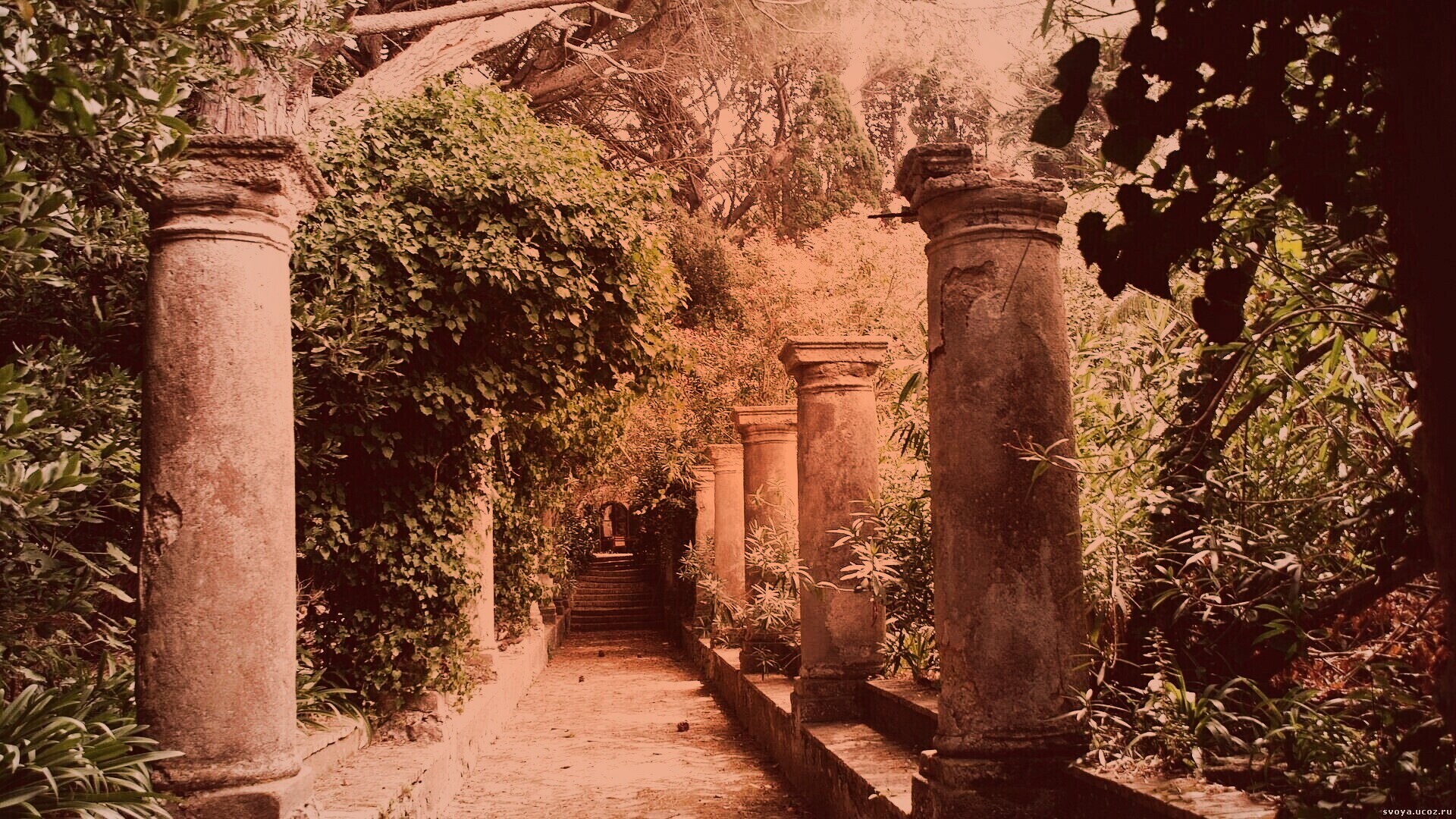 Галерея зимнего сада обои