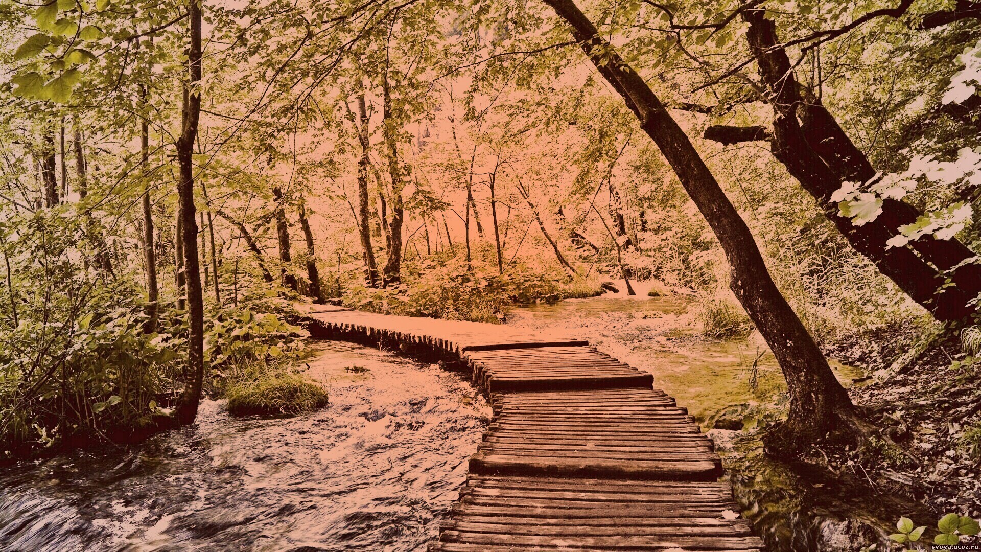 Тропинка над водой обои