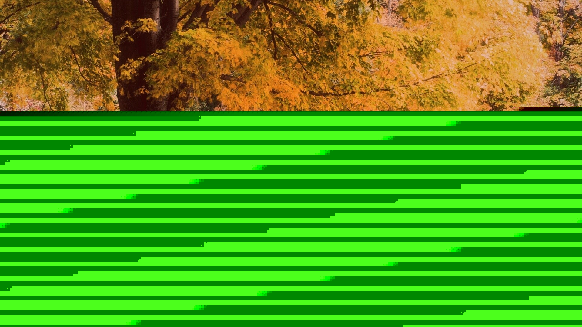 Ранняя осень обои