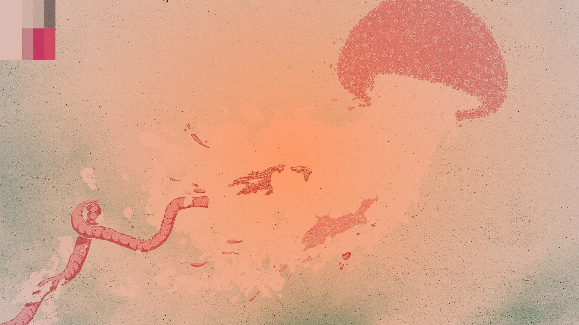 Розовая медуза обои