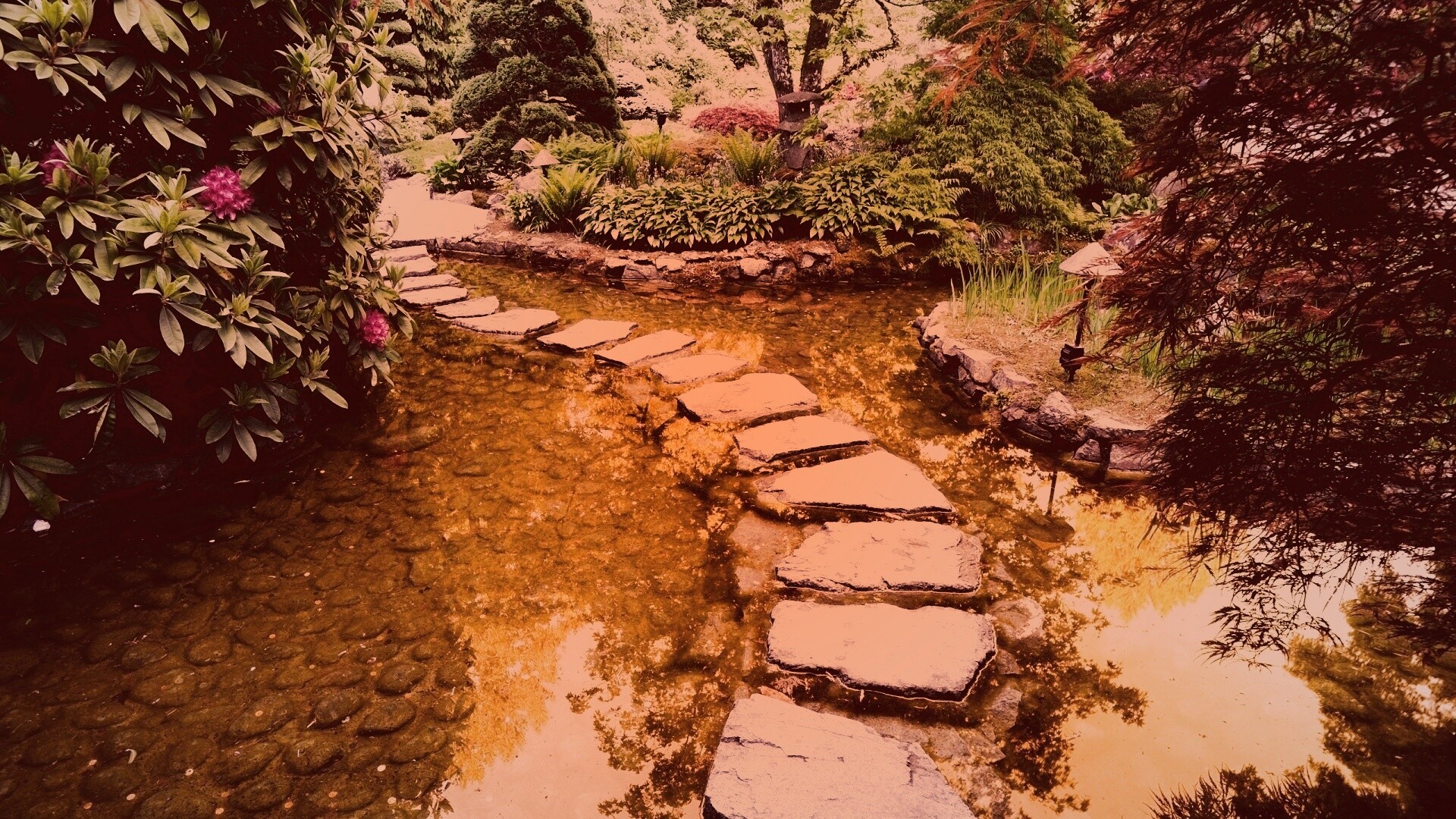 Дорожка через пруд обои