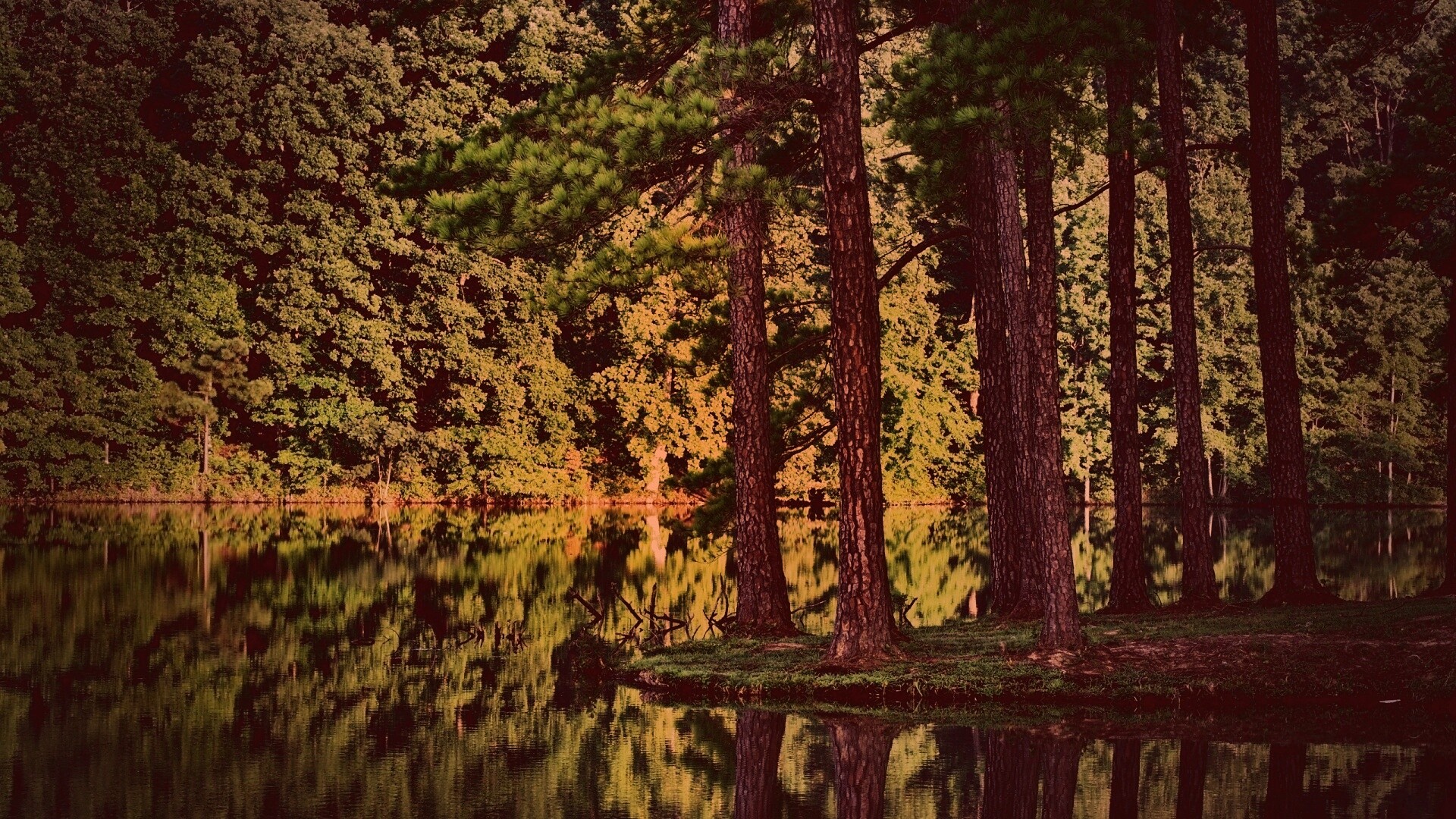 Островок посреди озера обои