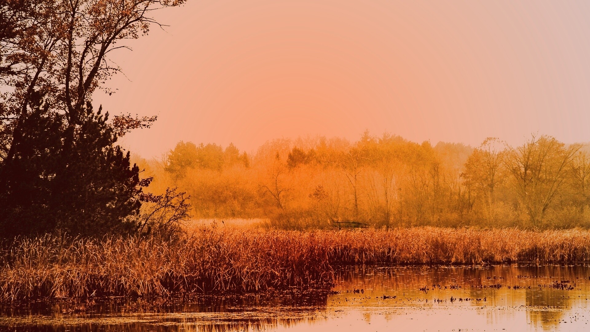 Живописные болота обои