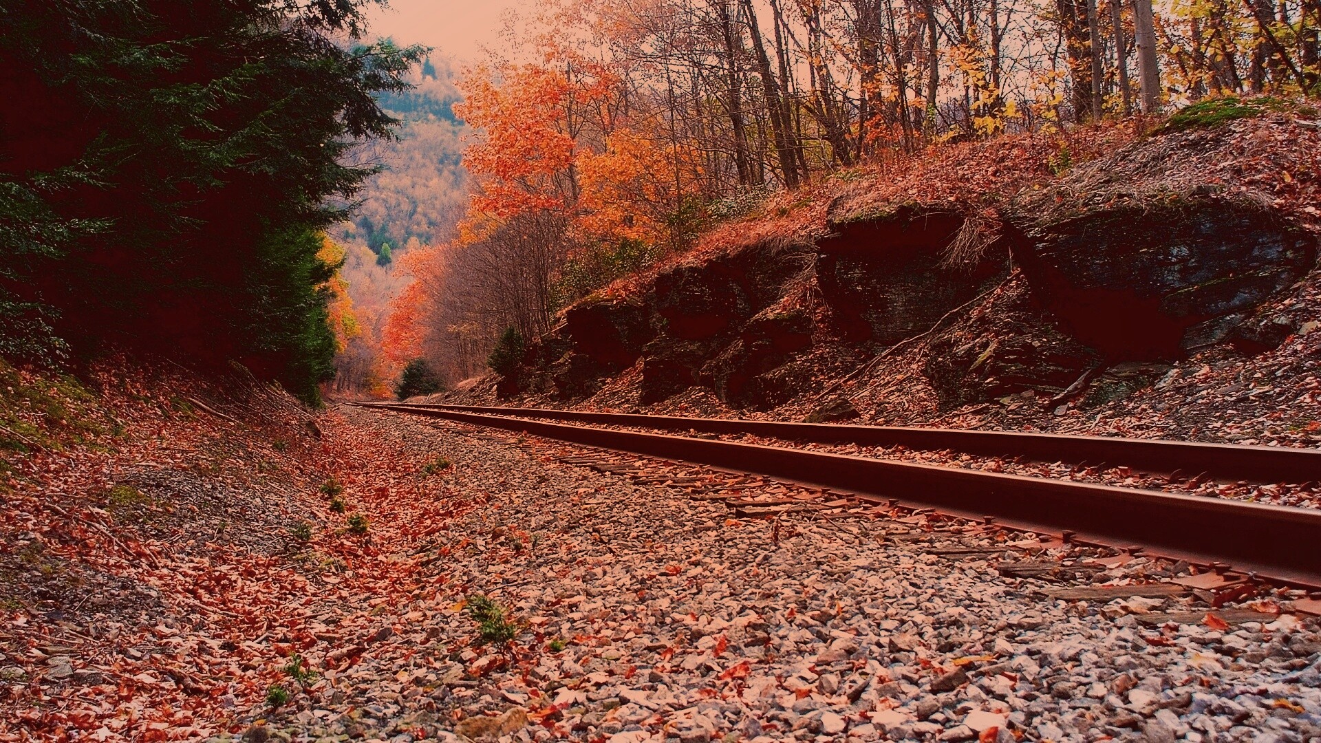 Железная дорога в скалистой местности обои