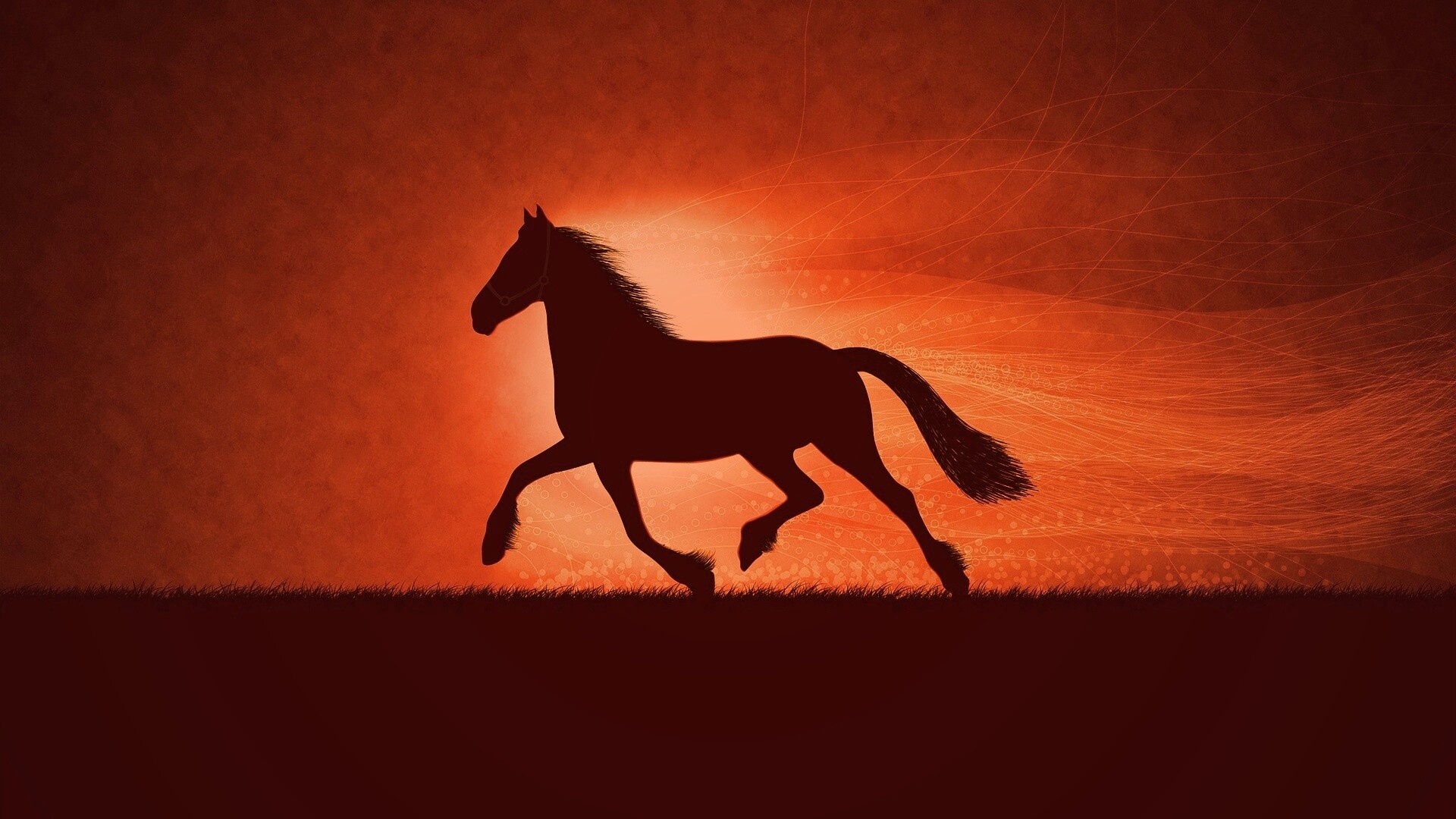 Силует коня на закате обои