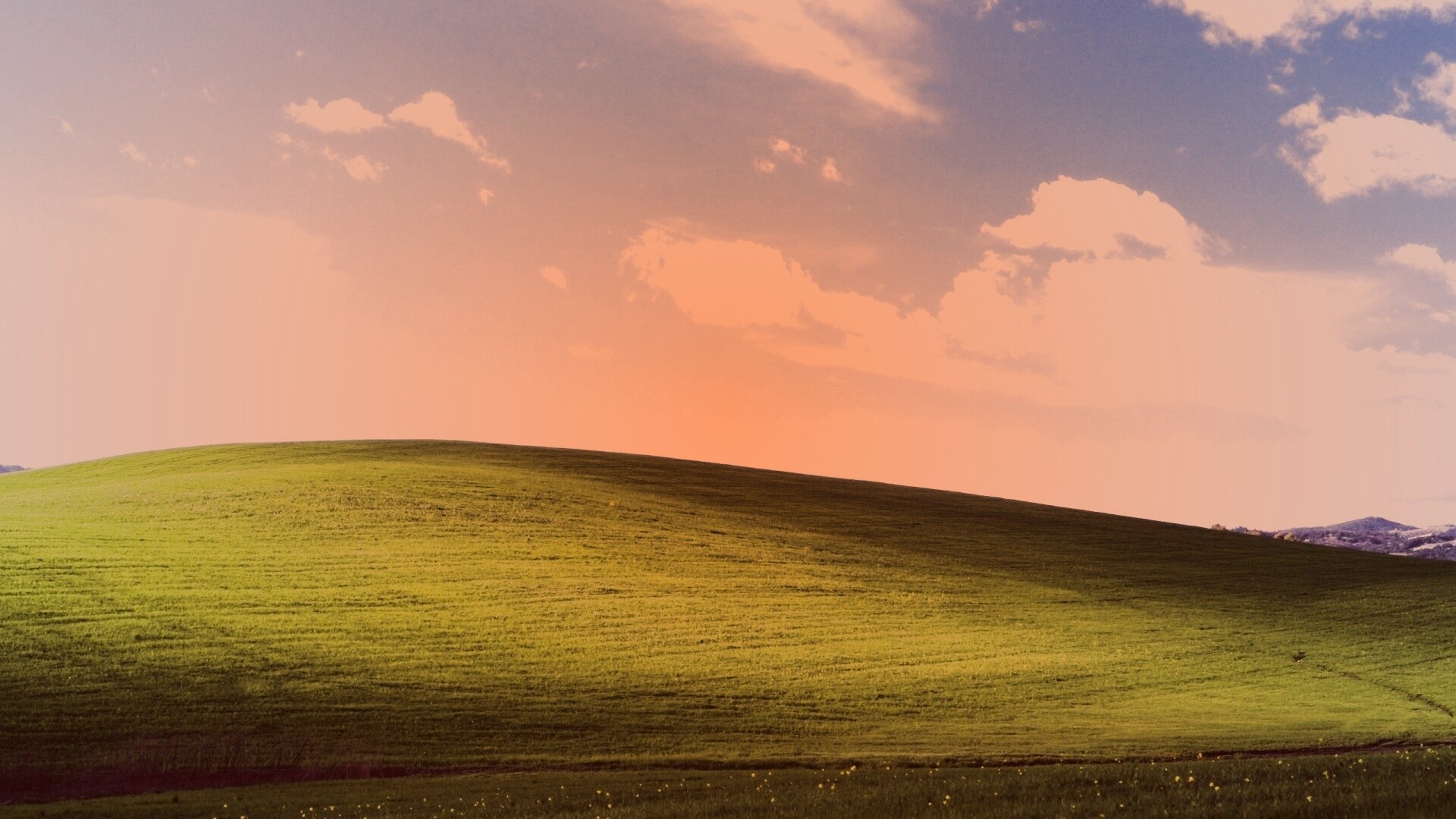 Стандартные обои Windows XP обои