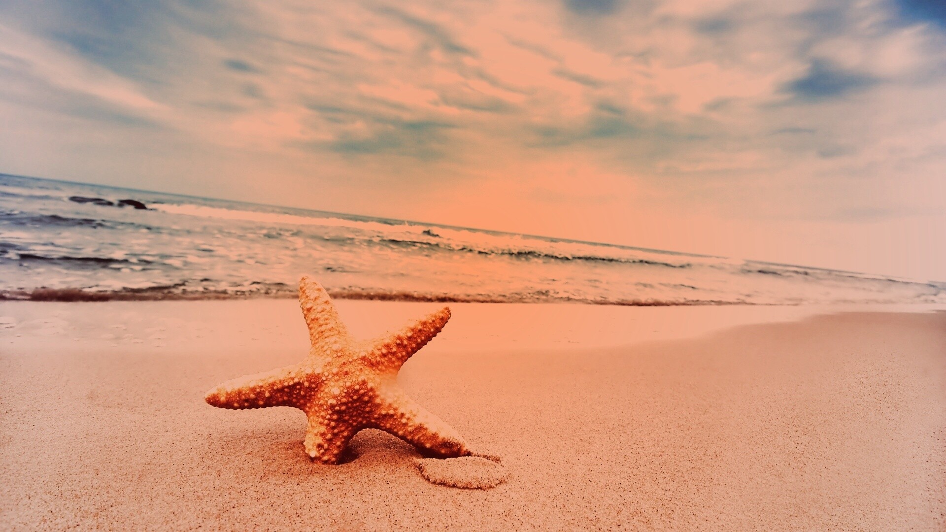 Морская звезда в песке обои