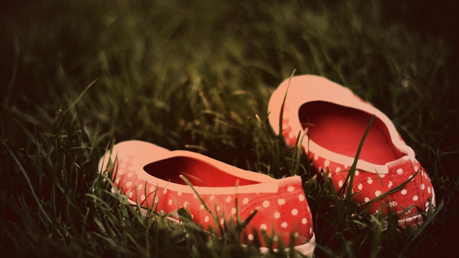Красные тапки в горошек обои