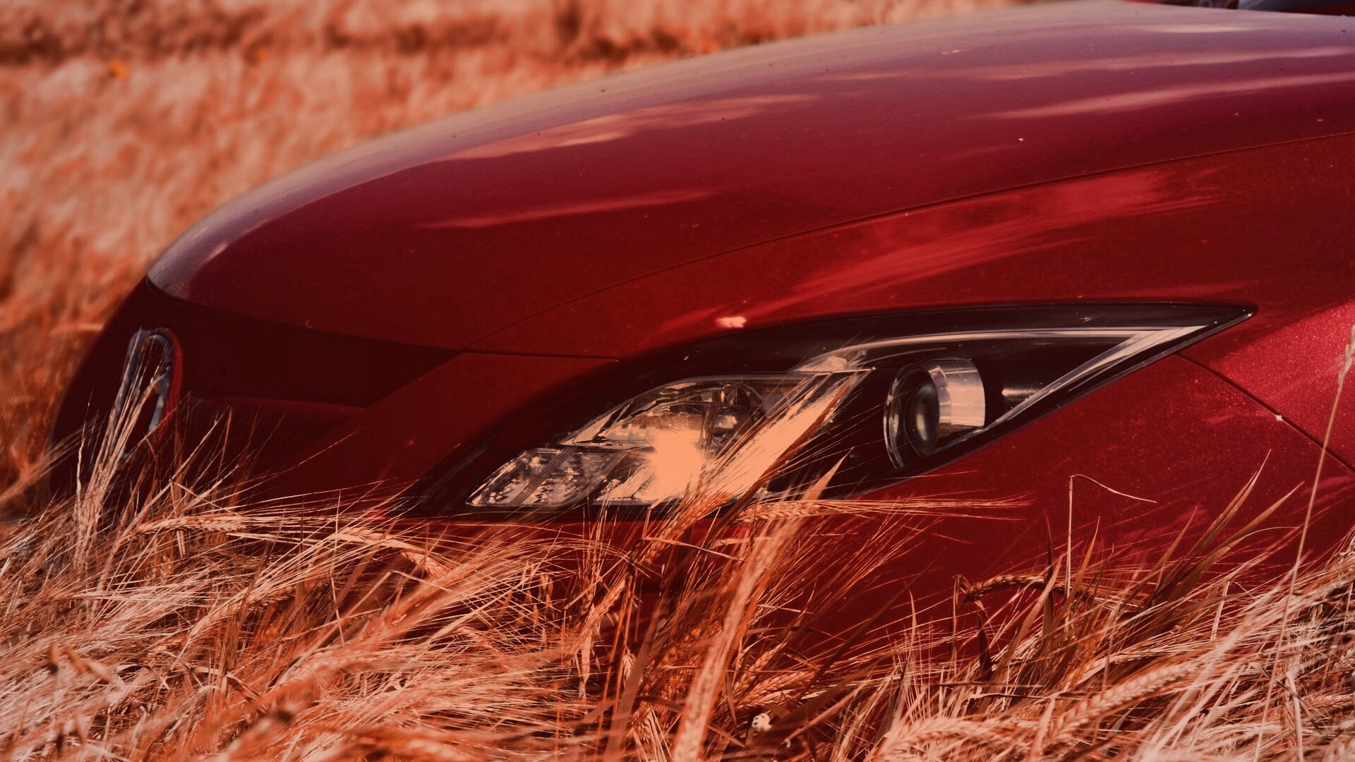 Мазда в пшенице обои