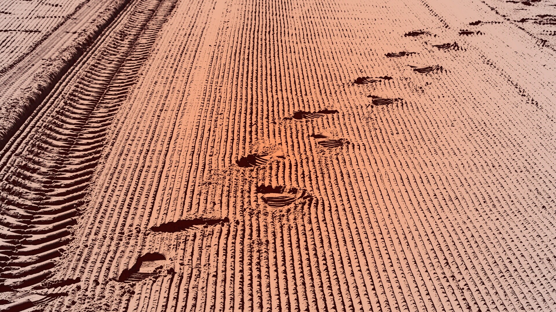 Следы на песке обои