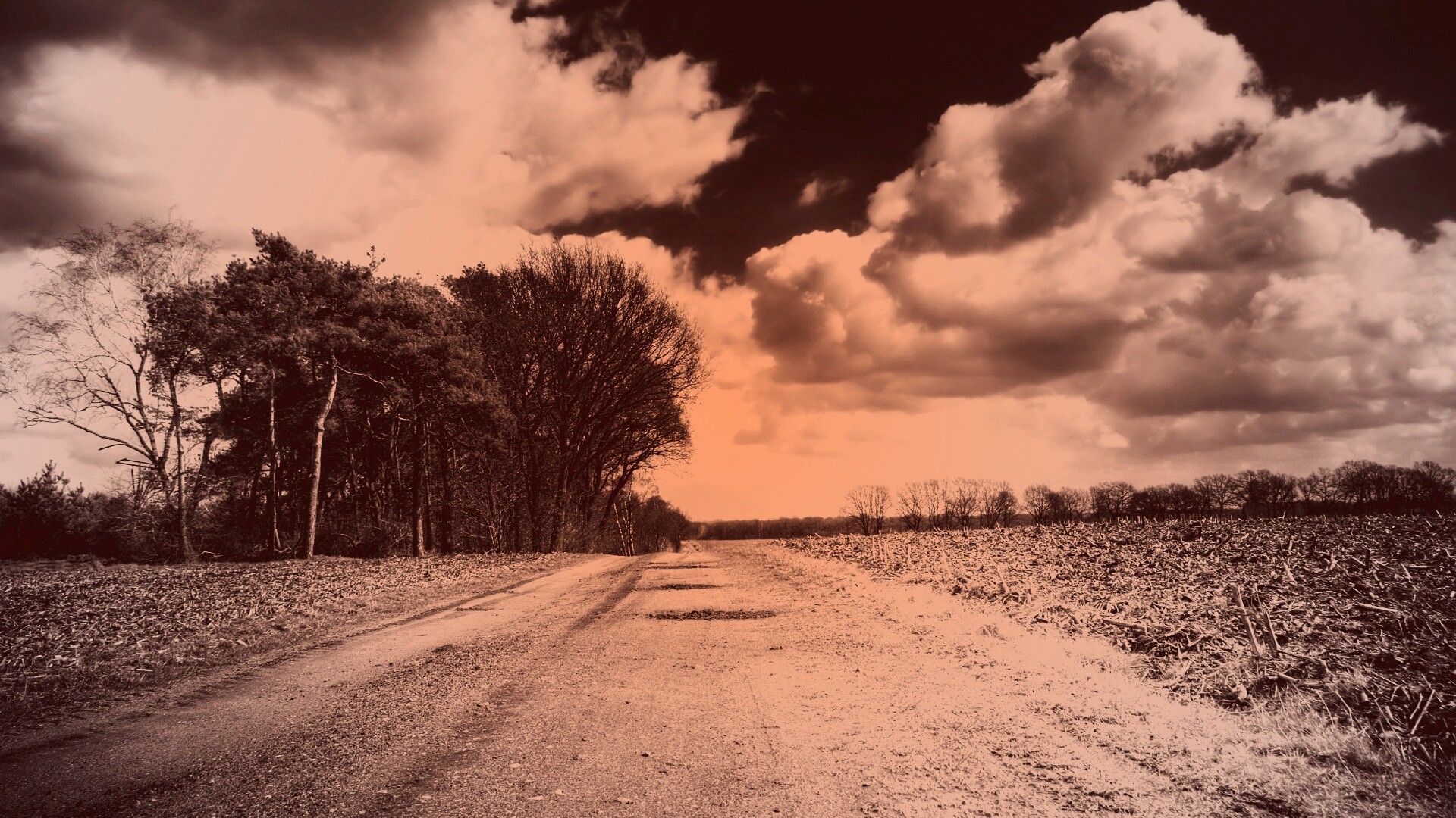 Дорога через поле обои