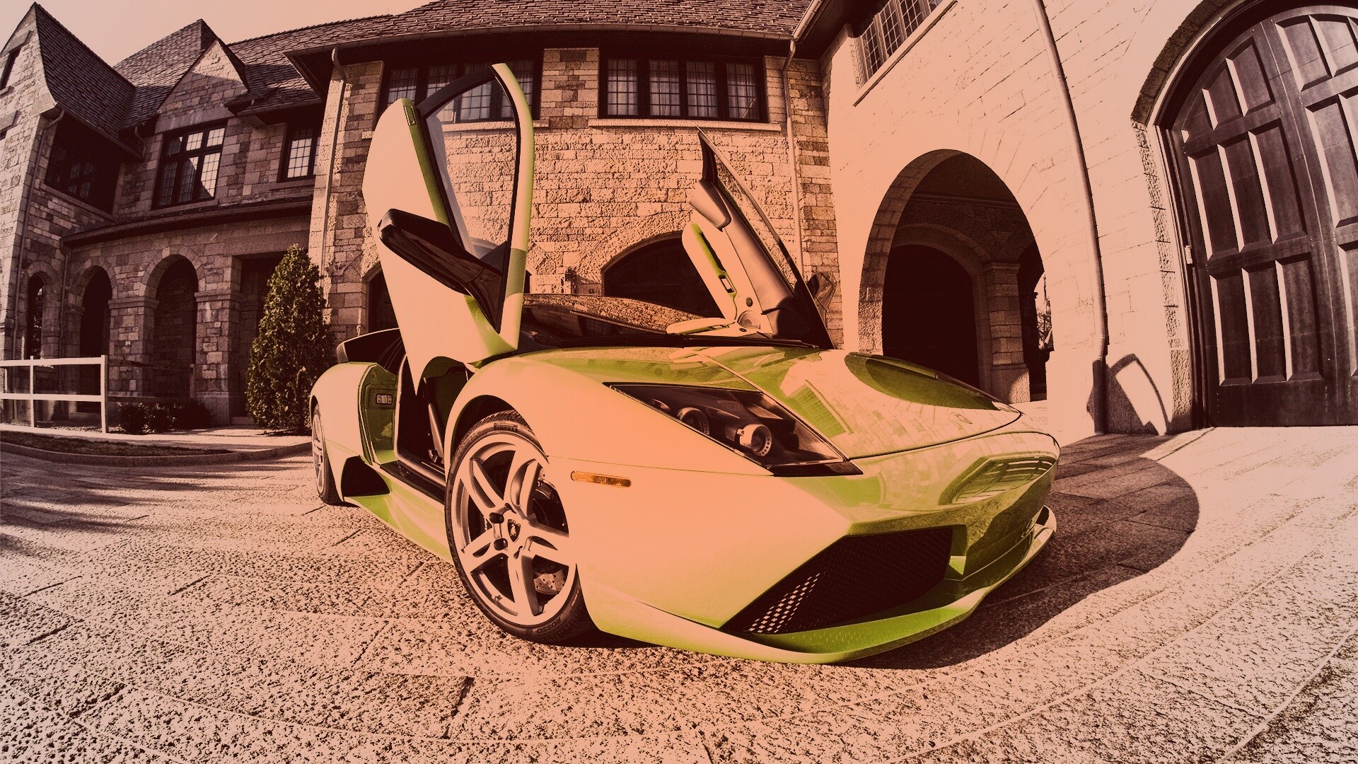 Зеленая ламба обои