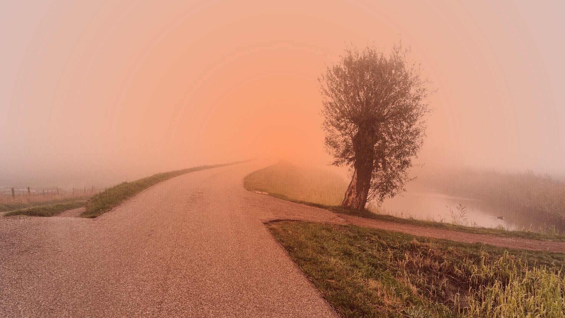 Дорога растворяется в тумане обои