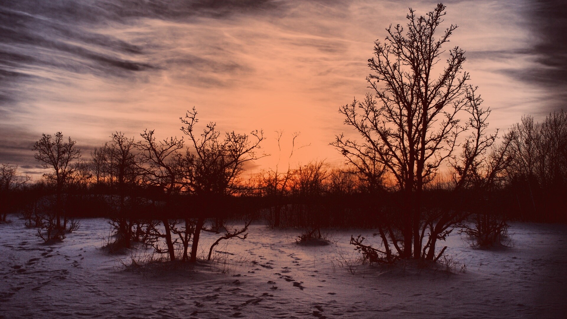 Закат в зимнем лесу обои