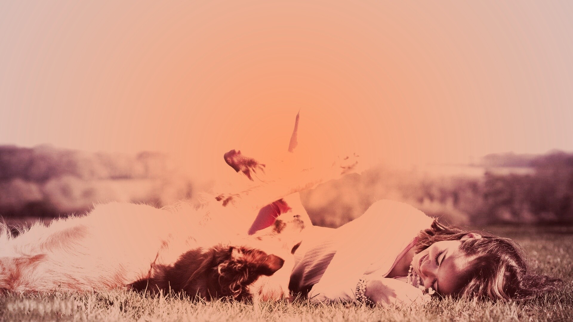 Девушка и собака валяются на траве обои