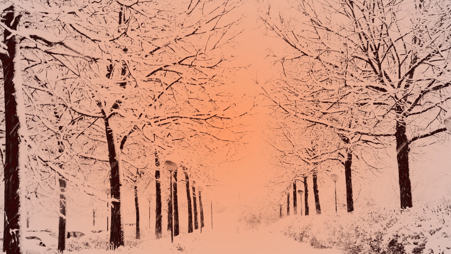 Заснеженная аллея обои