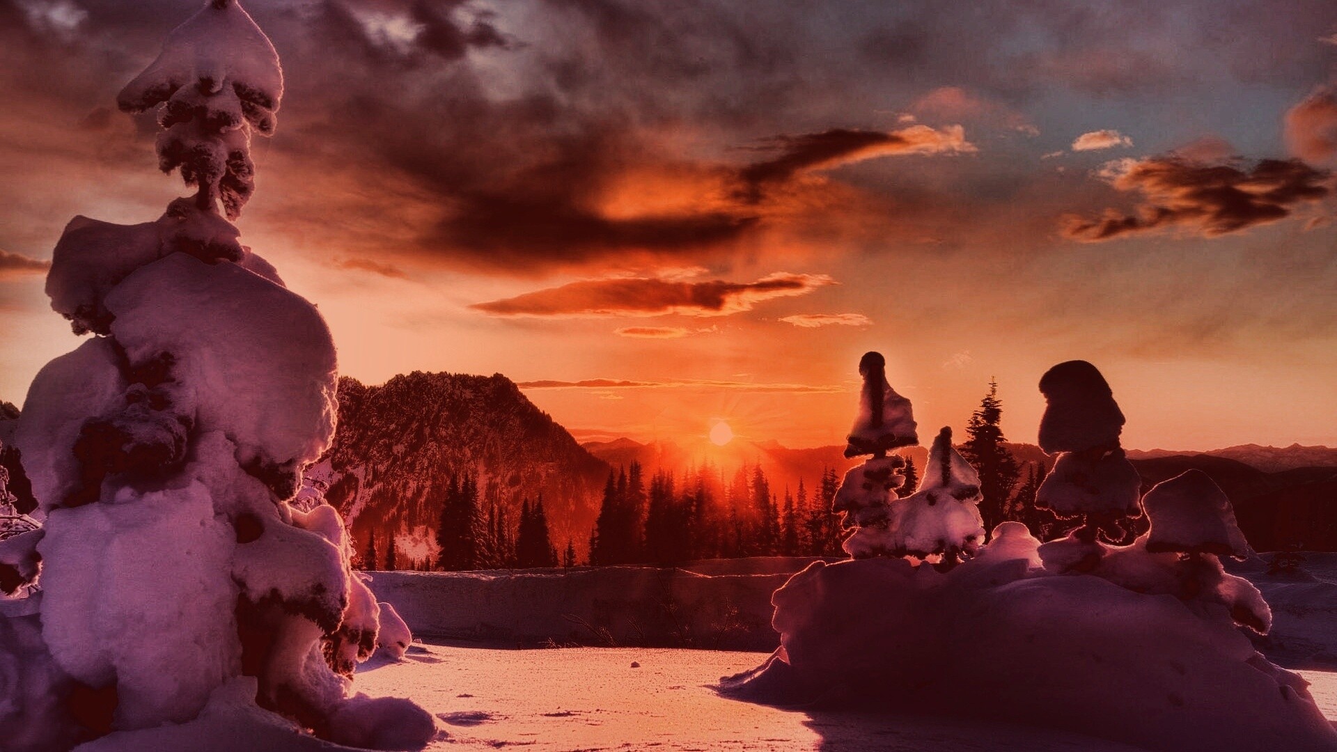 Зимнее солнце обои