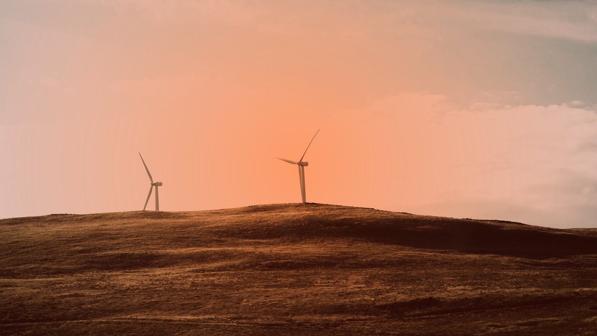 Ветряки в поле обои