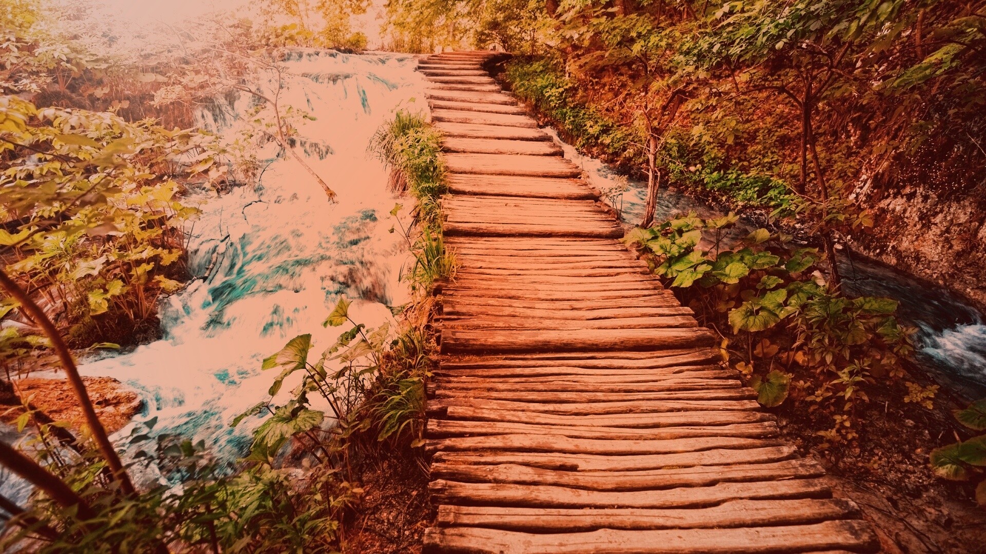 Деревянная дорожка над ручьем обои