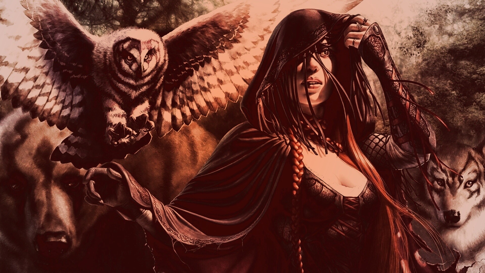 Magic: The Gathering обои