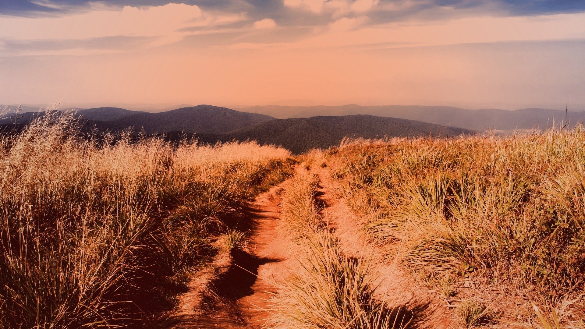 Дорога высоко в горах обои