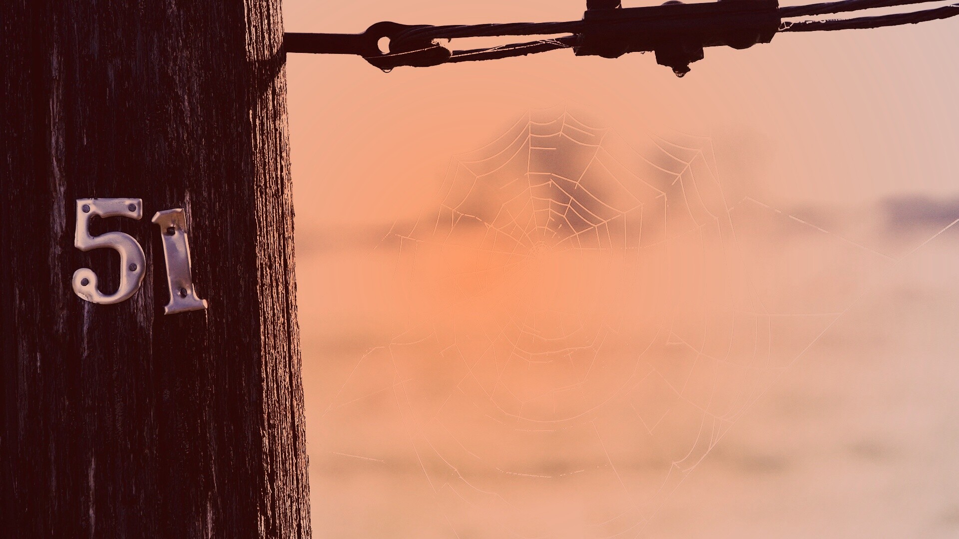 Паутина 51 обои