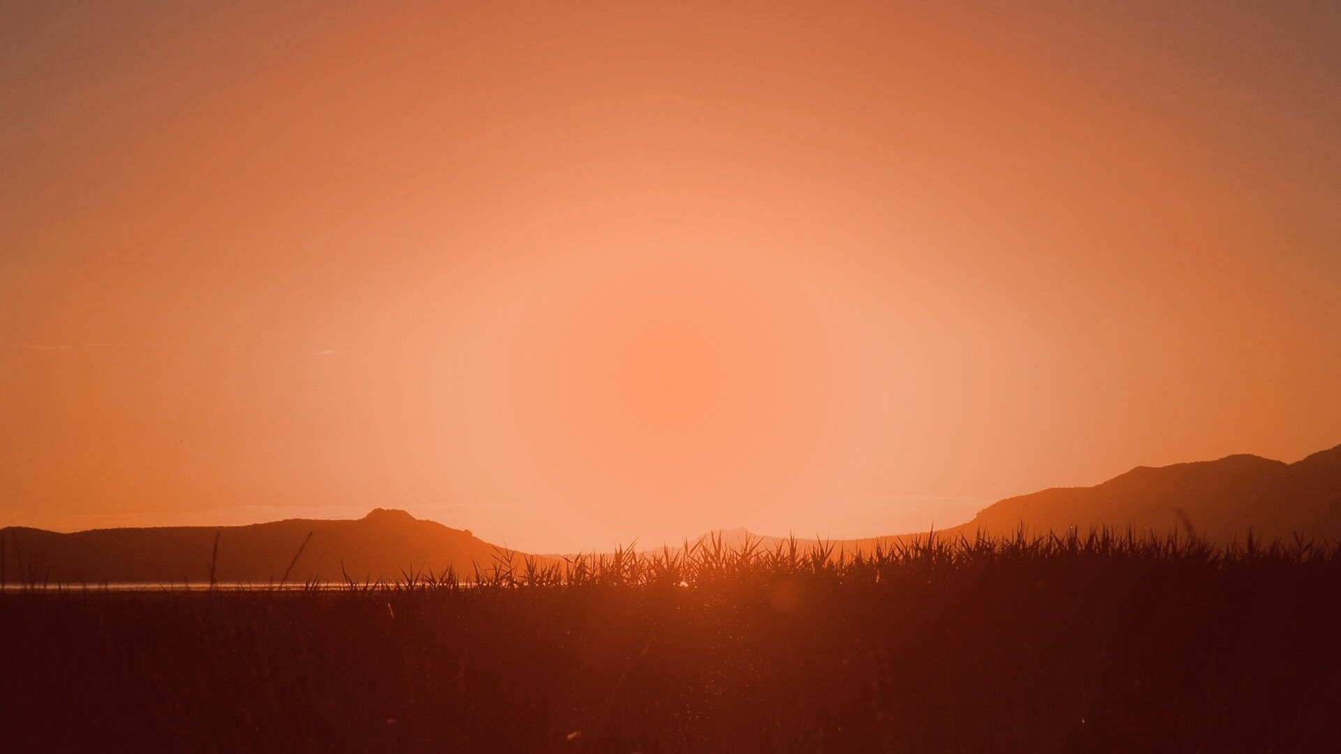 Сельский закат обои