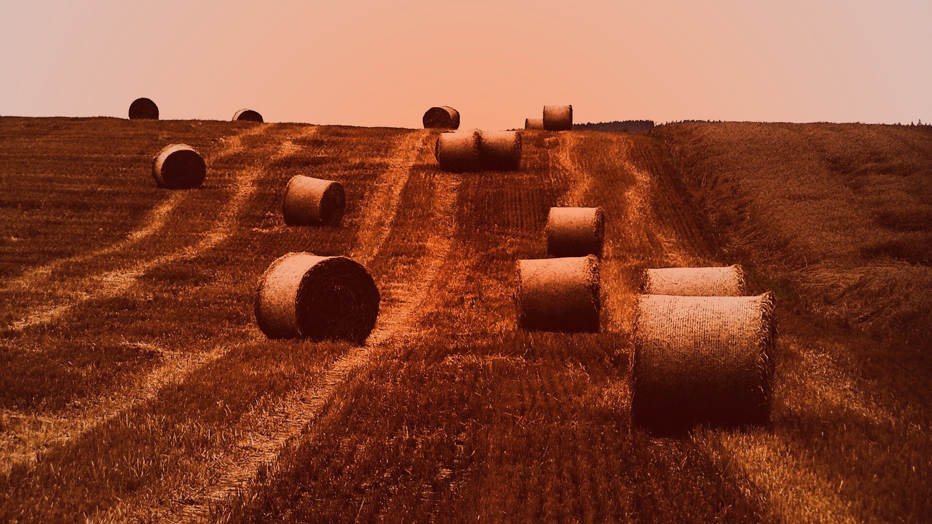 Уборка сена с поля обои