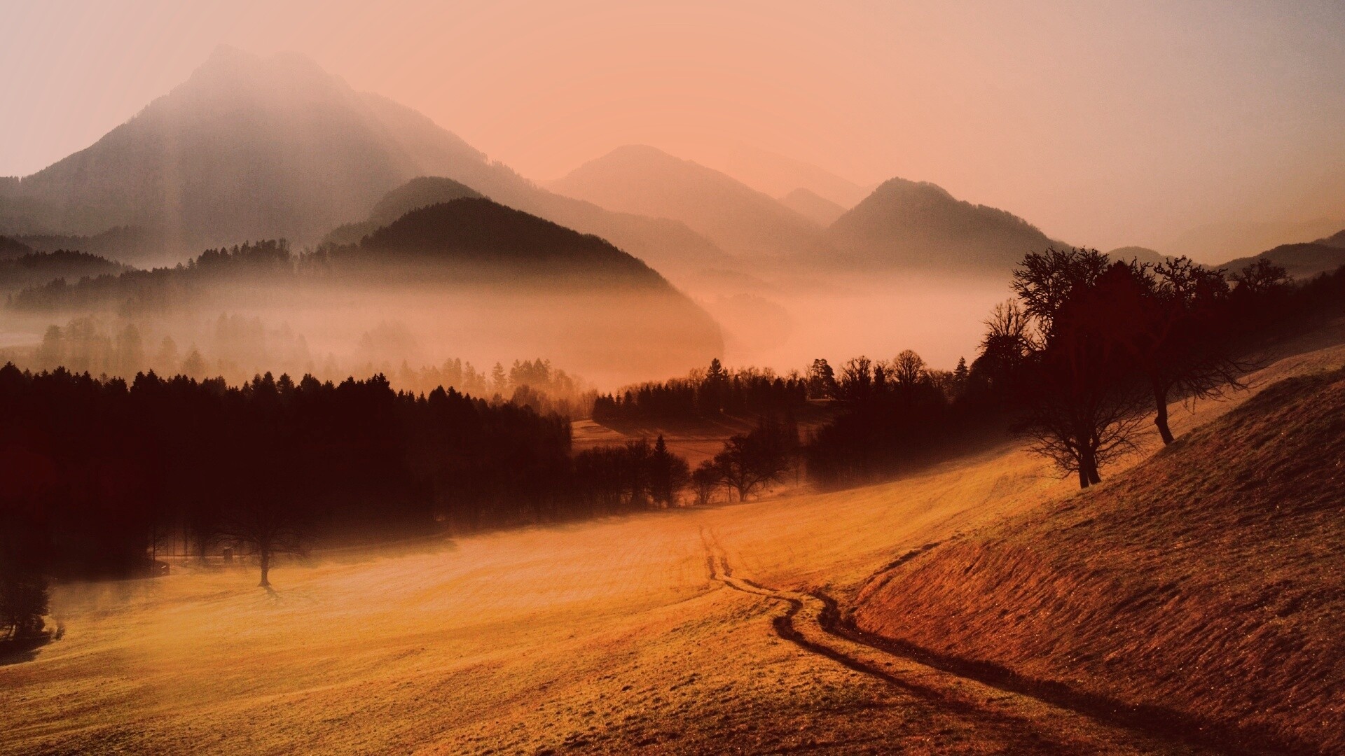 Дорога в туманную долину обои