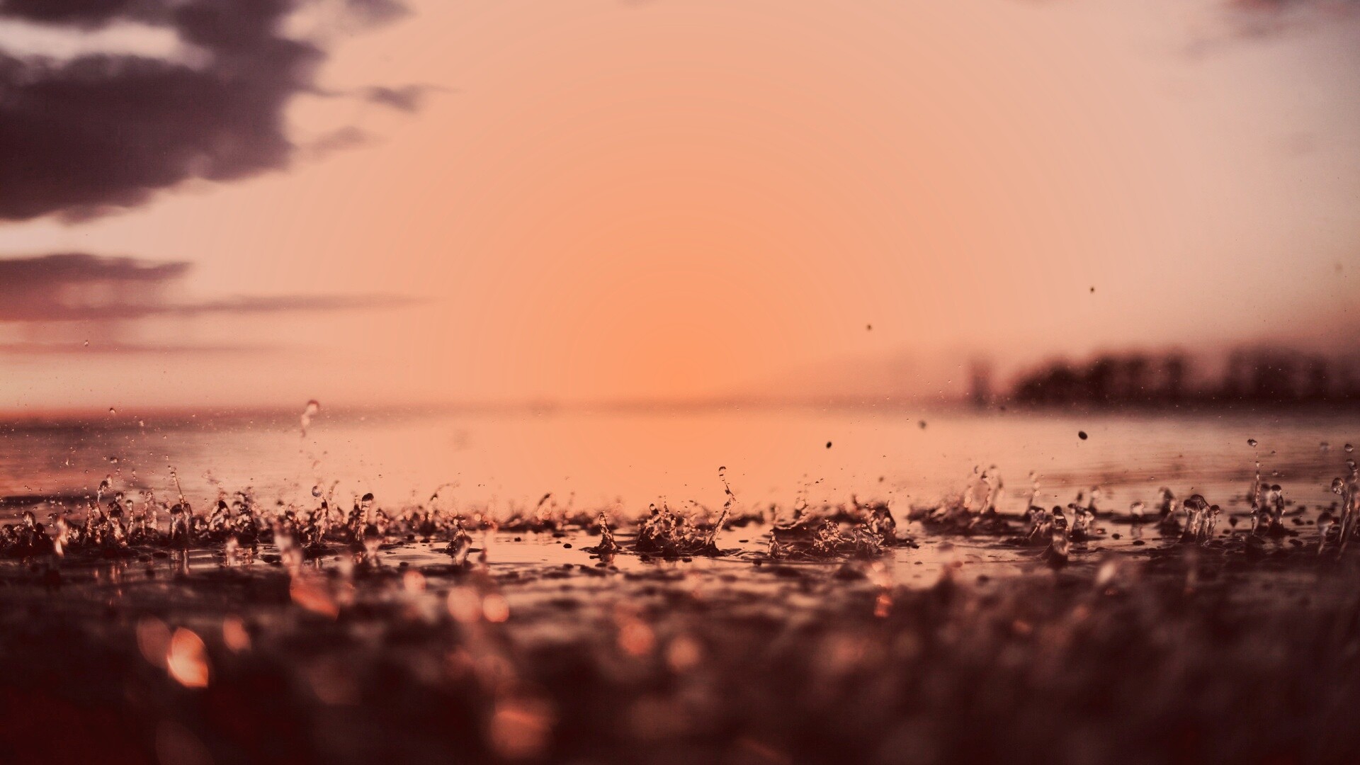 Дождь в макро обои