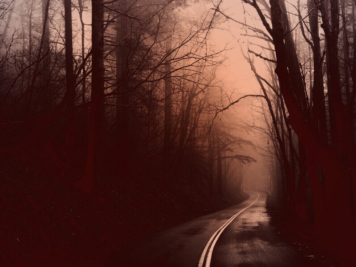 В туман обои