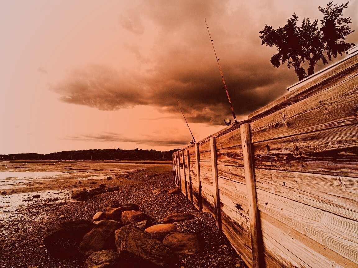 Отлив у деревянной набережной обои