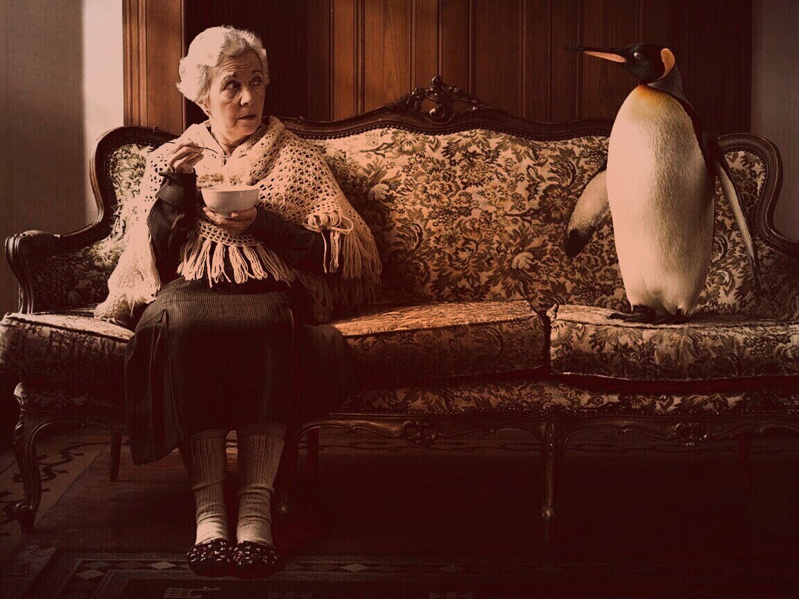 Соседи по дивану обои