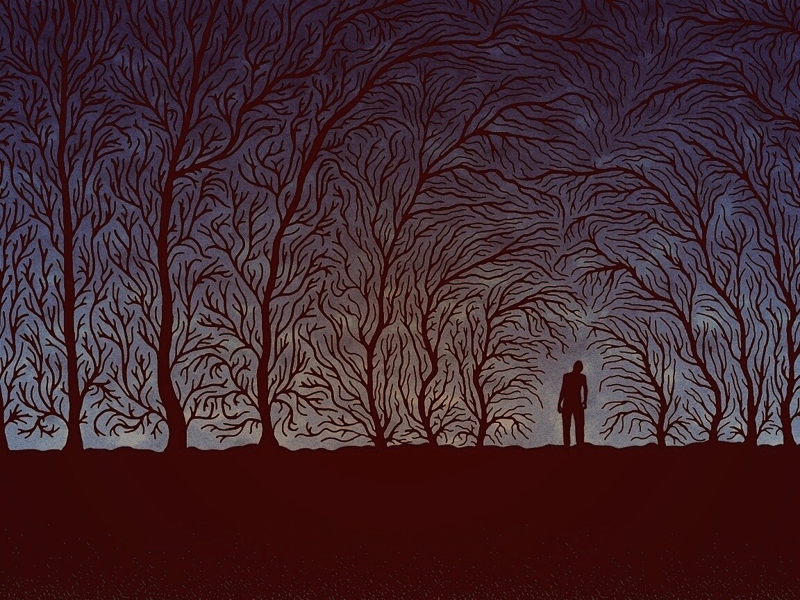 Смыкающиеся деревья обои