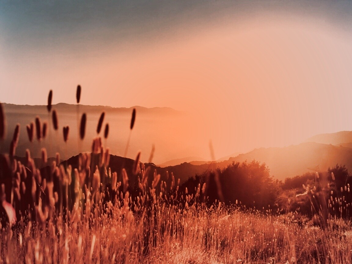 Восход над холмами обои