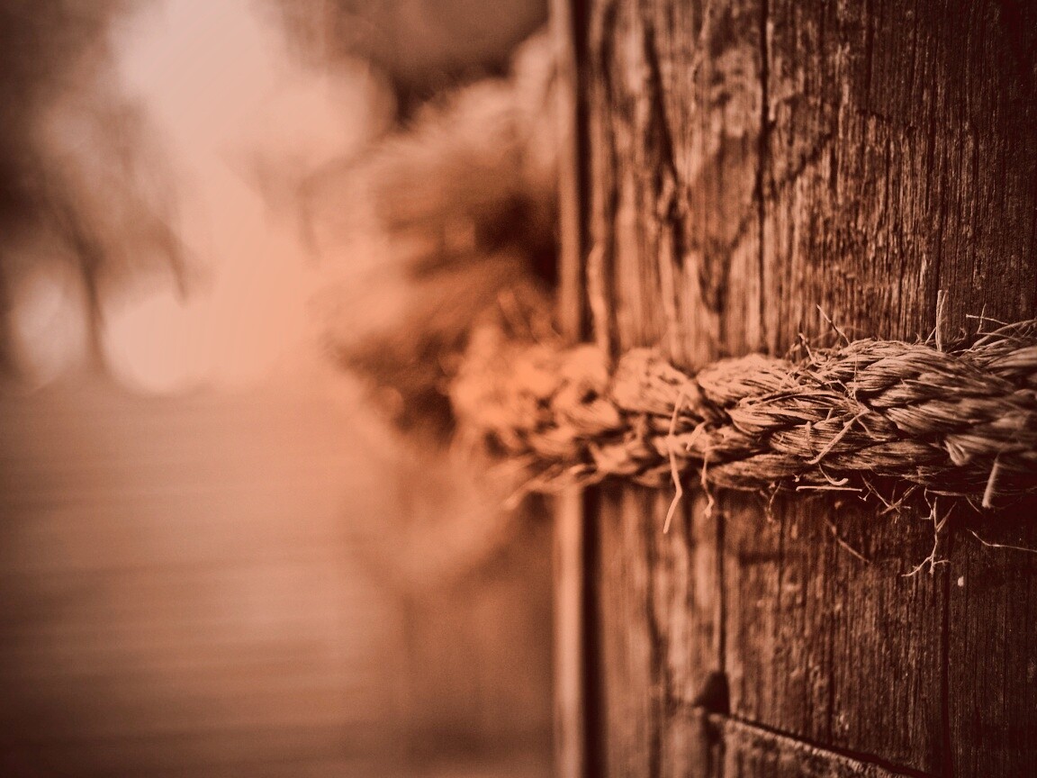 Веревка на деревянном столбе обои