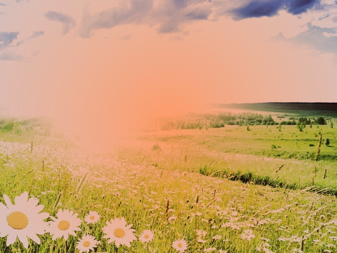 Летний восход обои