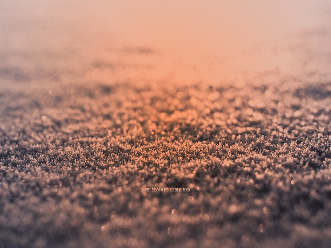 Снежный покров обои