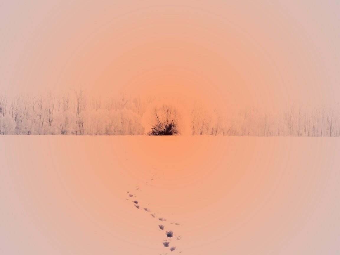 Следы на снегу обои