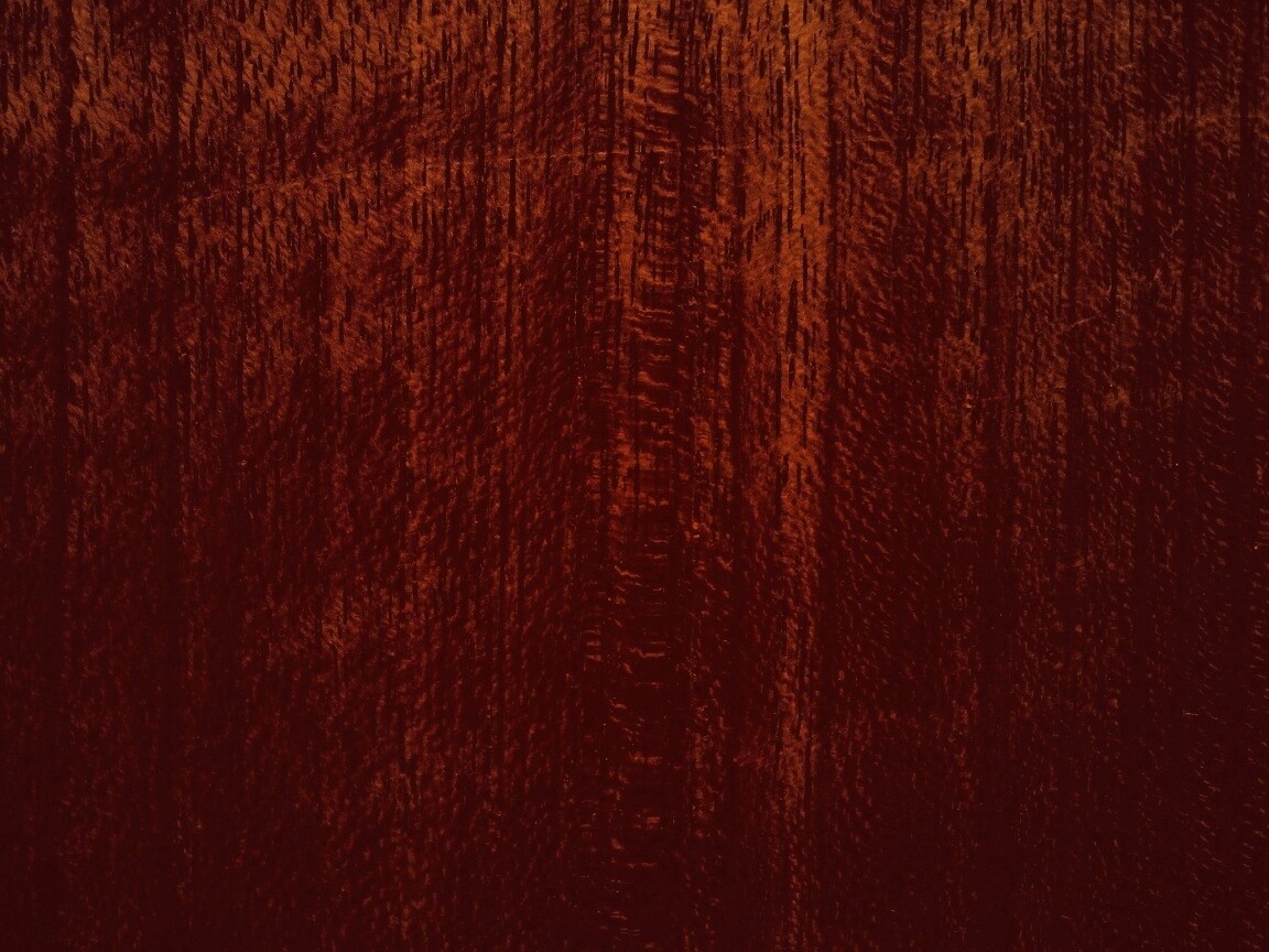 Темно-оранжевое дерево обои