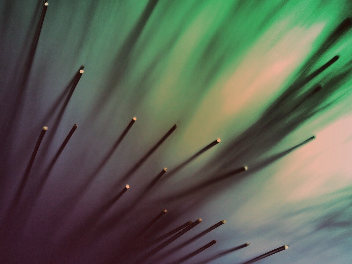 Световоды в рассеяном свете обои