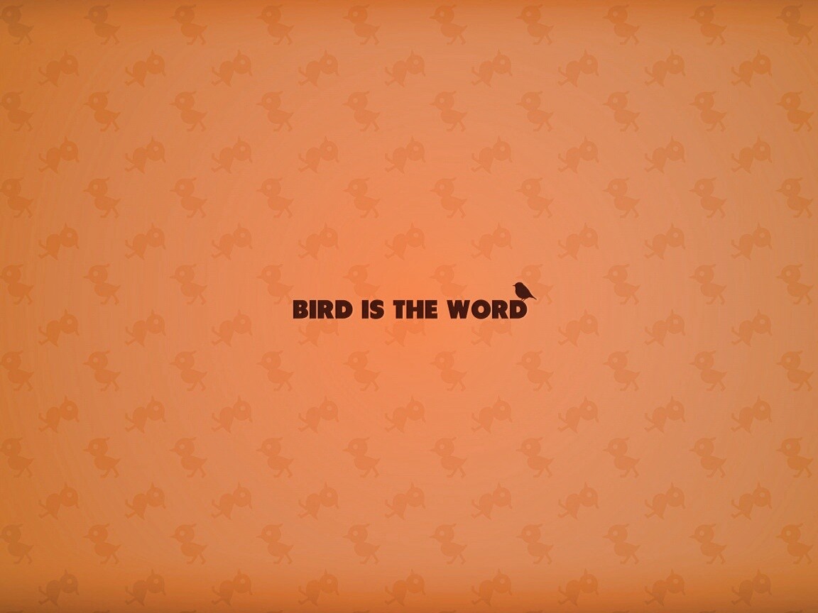 Bird is the word обои