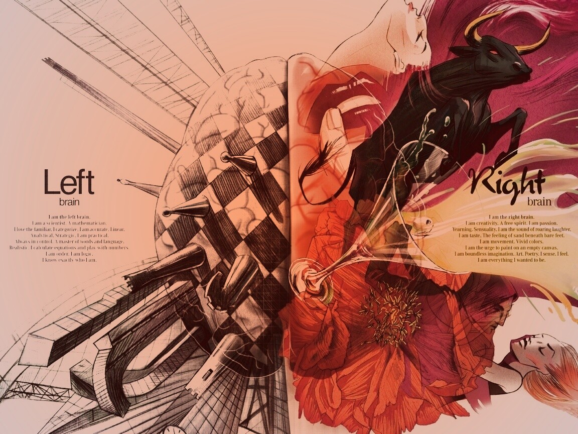 Левая и правая часть мозга обои