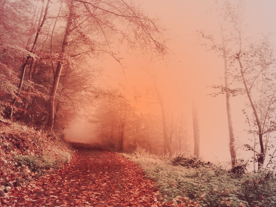 Осенний мистический пейзаж обои