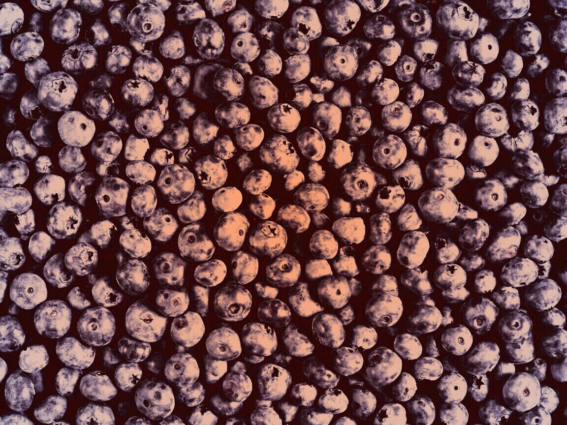 Черника обои